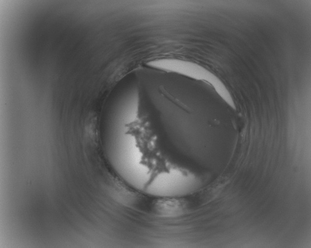 X0000063460181200602031843