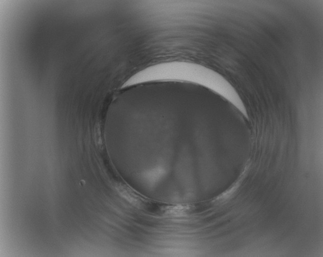 X0000063460182200602031843