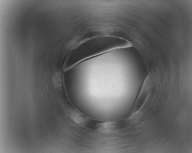 X0000063460184200602031843