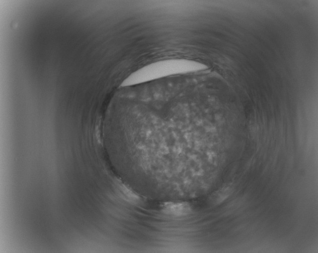 X0000063460185200602031843