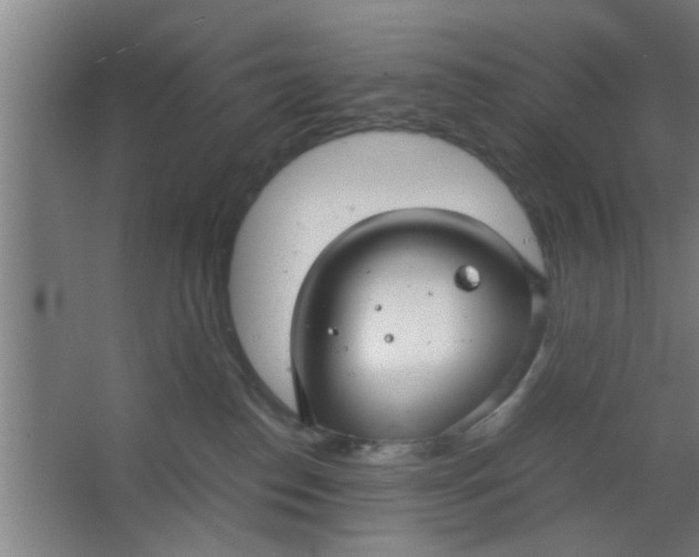 X0000063460186200602031843