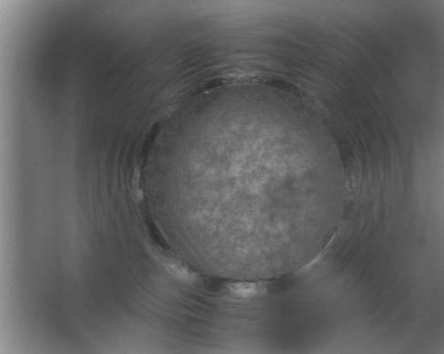 X0000063460187200602031843