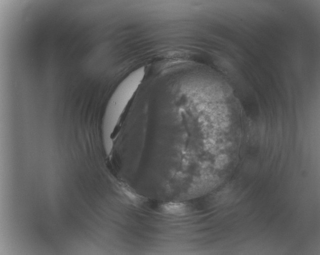 X0000063460189200602031843