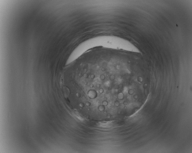 X0000063460191200602031843