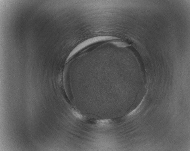 X0000063460192200602031843