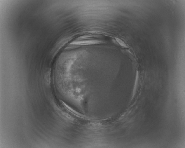 X0000063460194200602031842