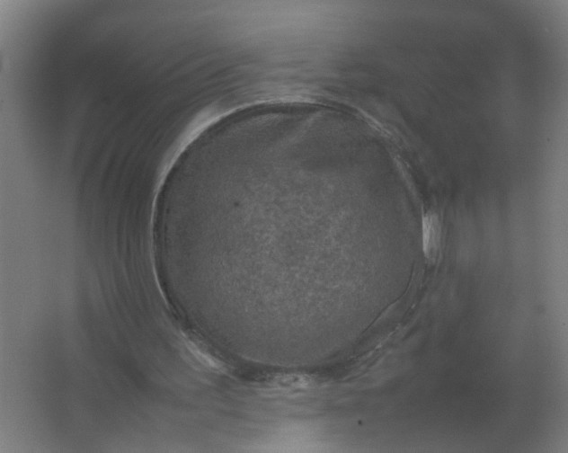 X0000063460195200602031842