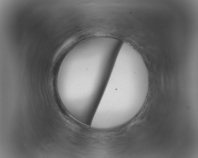 X0000063460197200602031842