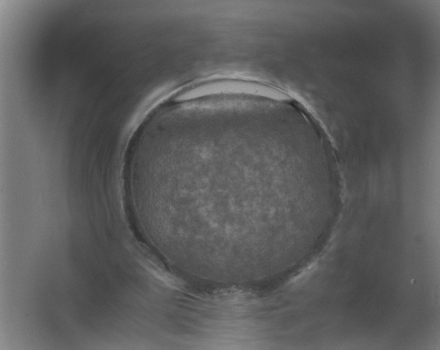 X0000063460199200602031842