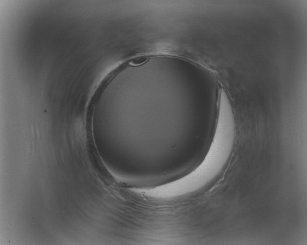 X0000063460200200602031842