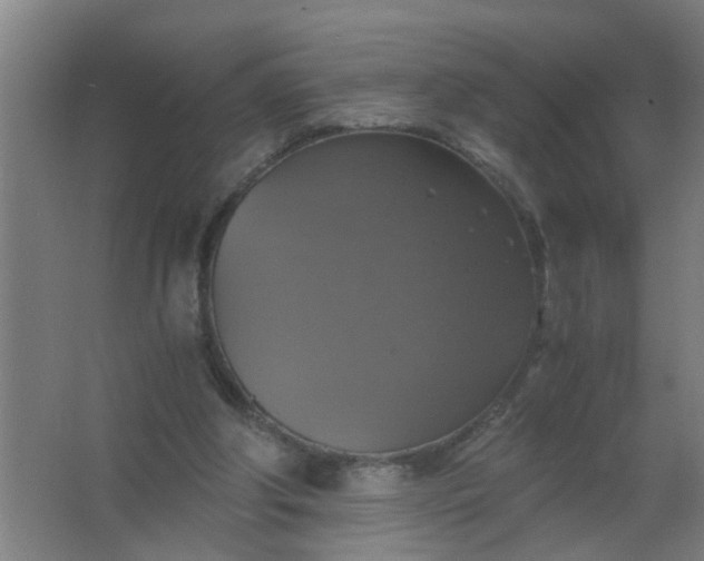 X0000063460202200602031842