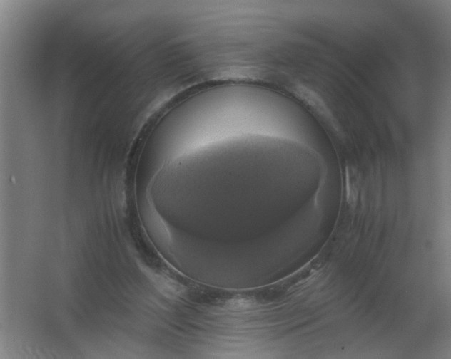 X0000063460204200602031842