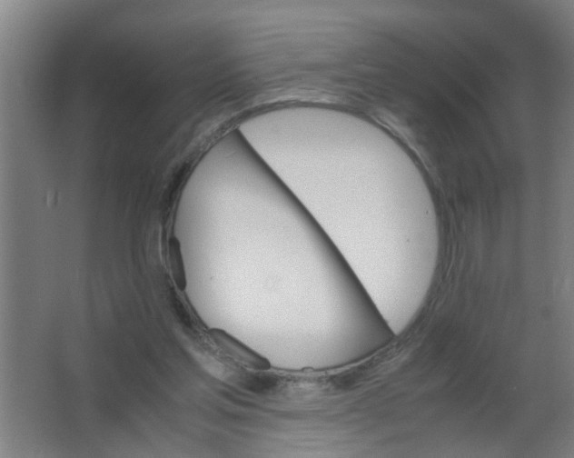 X0000063460205200602031842