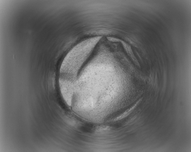 X0000063460206200602031842