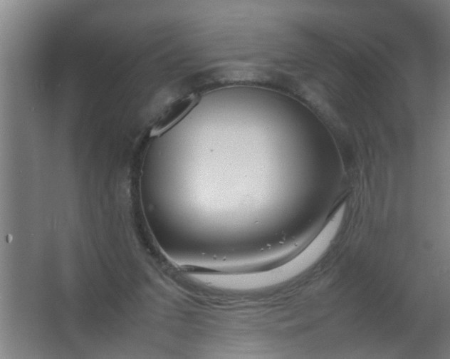 X0000063460207200602031842