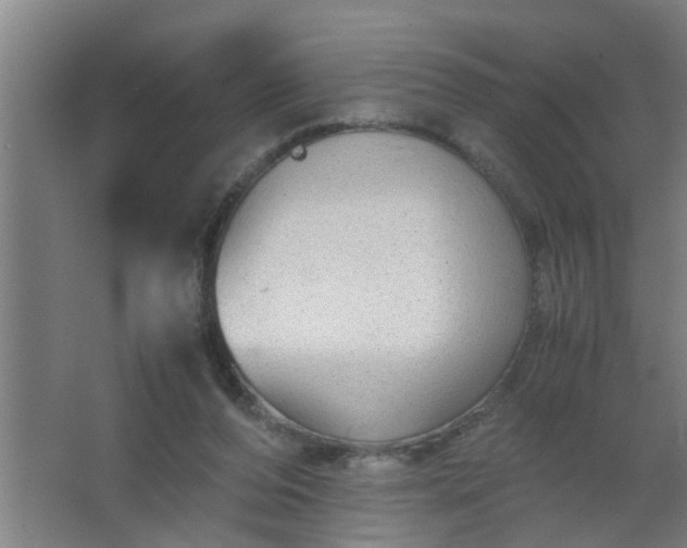 X0000063460208200602031842