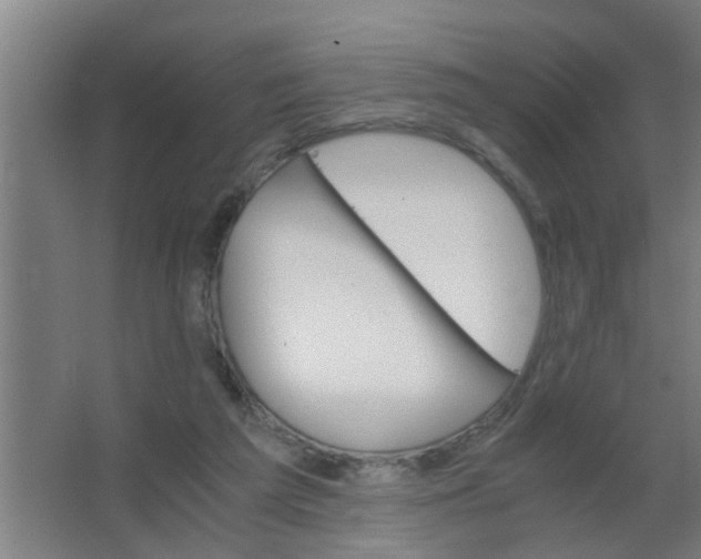 X0000063460209200602031842