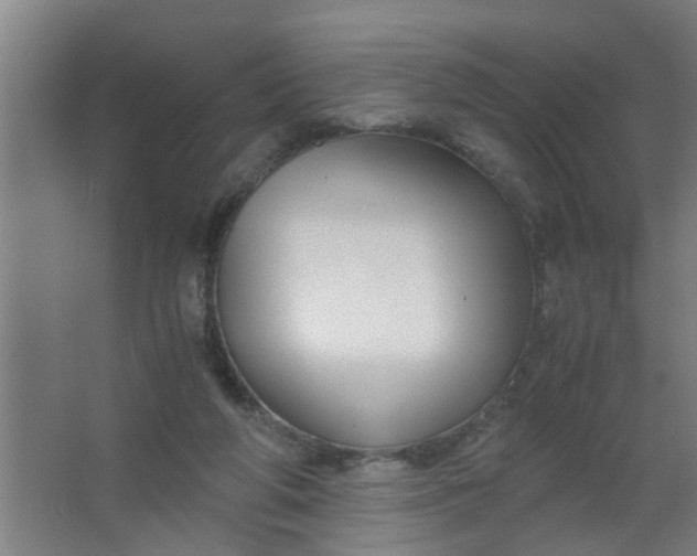 X0000063460210200602031842