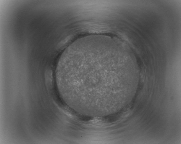 X0000063460211200602031842