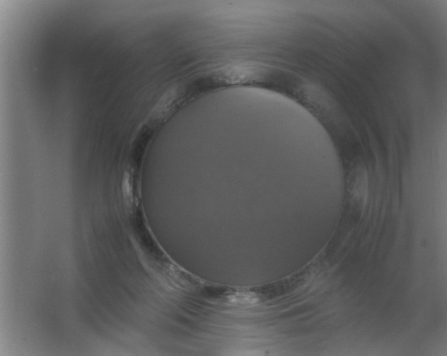 X0000063460214200602031842