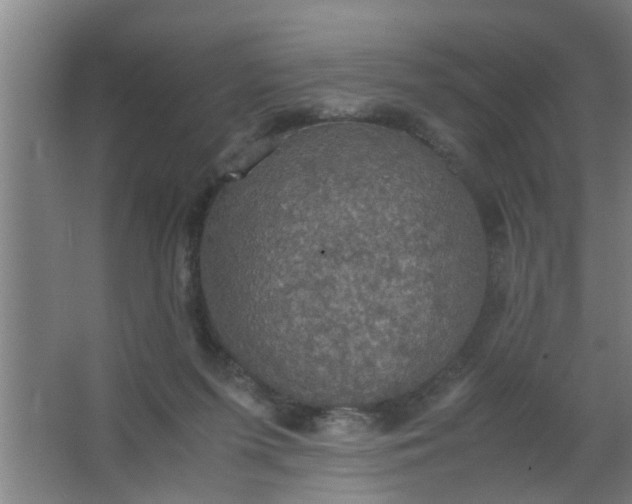 X0000063460215200602031842