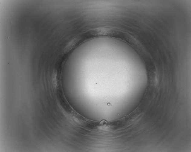 X0000063460216200602031842