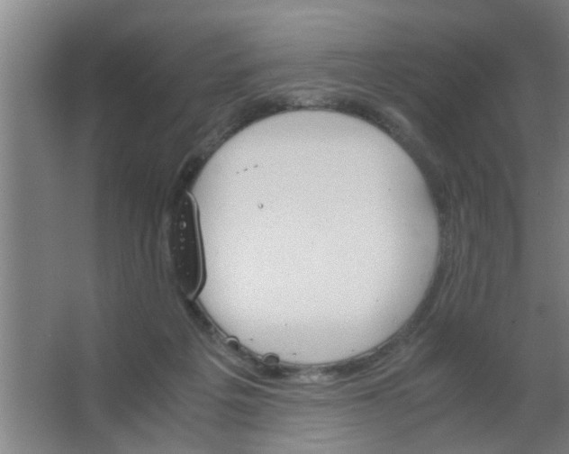 X0000063460217200602031842