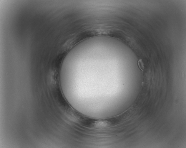 X0000063460218200602031842