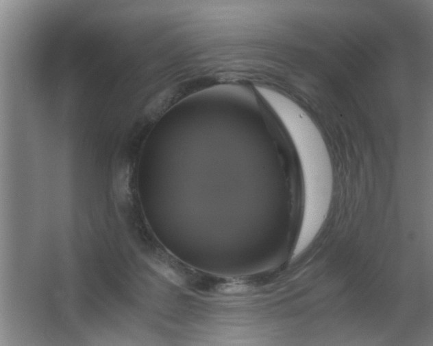 X0000063460219200602031842