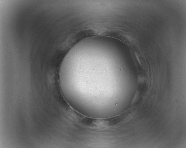 X0000063460221200602031842