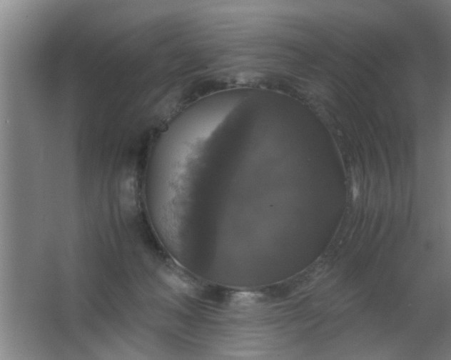 X0000063460222200602031842