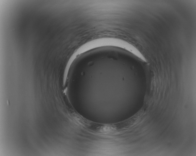 X0000063460223200602031842