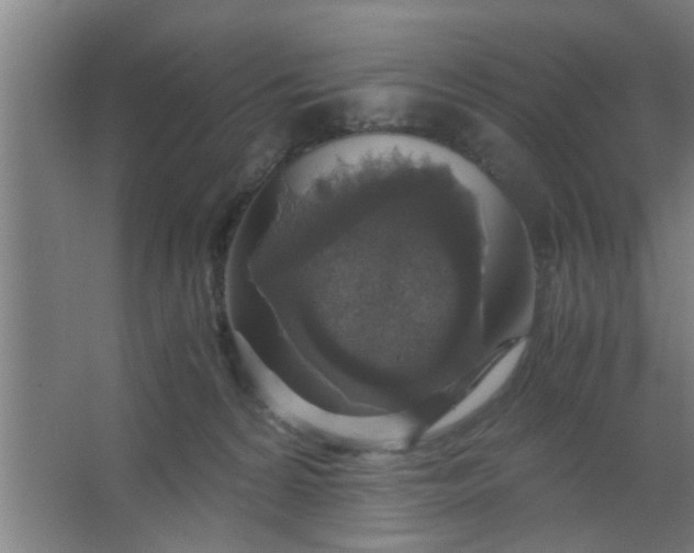 X0000063460224200602031842