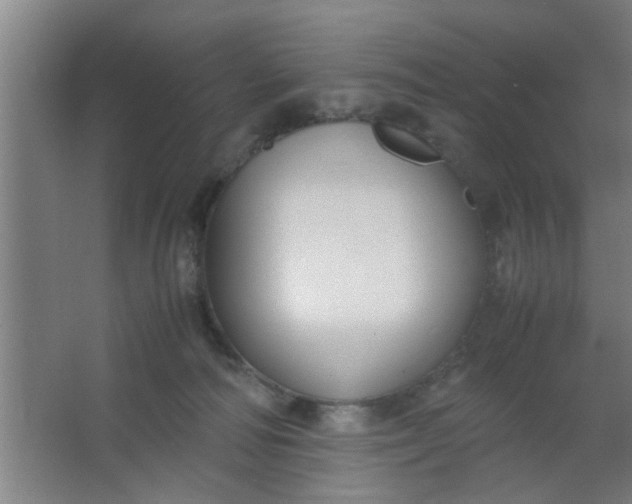 X0000063460226200602031842