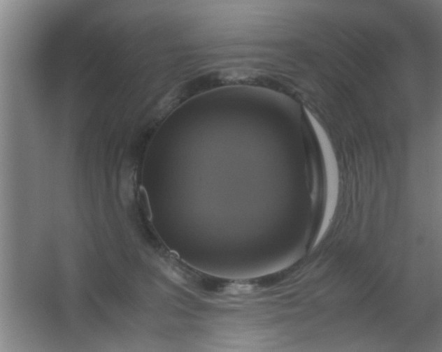 X0000063460227200602031842