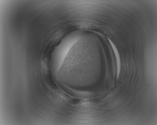 X0000063460228200602031842