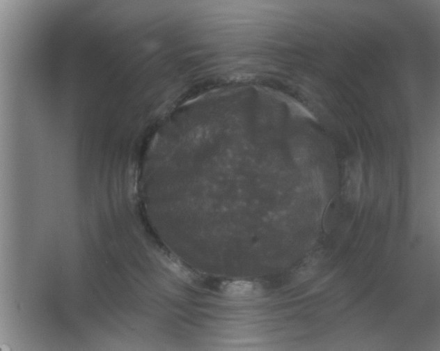 X0000063460230200602031842