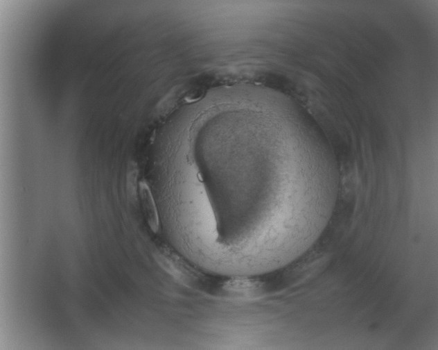 X0000063460231200602031842