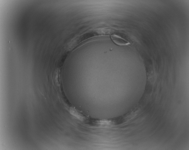 X0000063460233200602031842