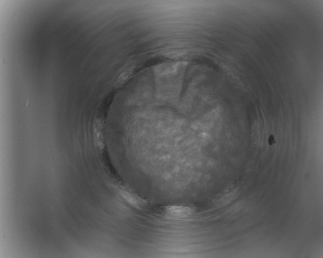 X0000063460234200602031842