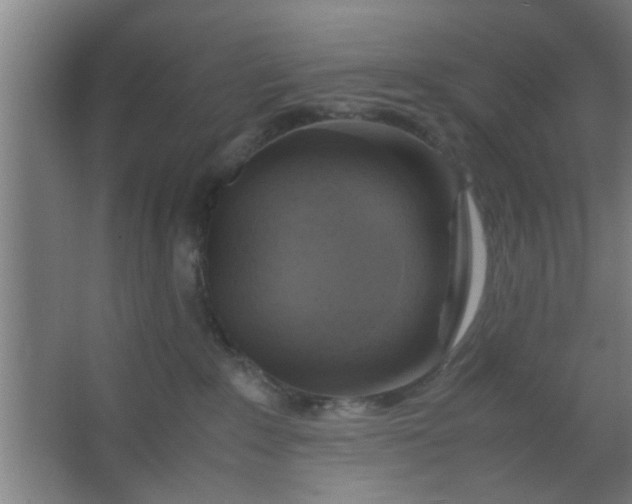 X0000063460235200602031842