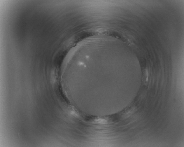 X0000063460236200602031842