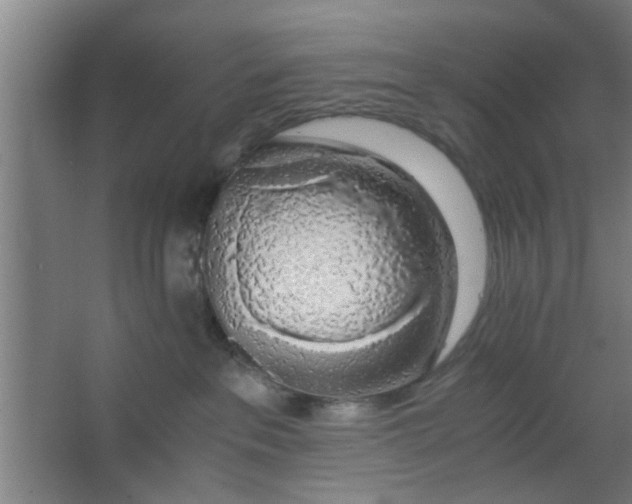 X0000063460237200602031842