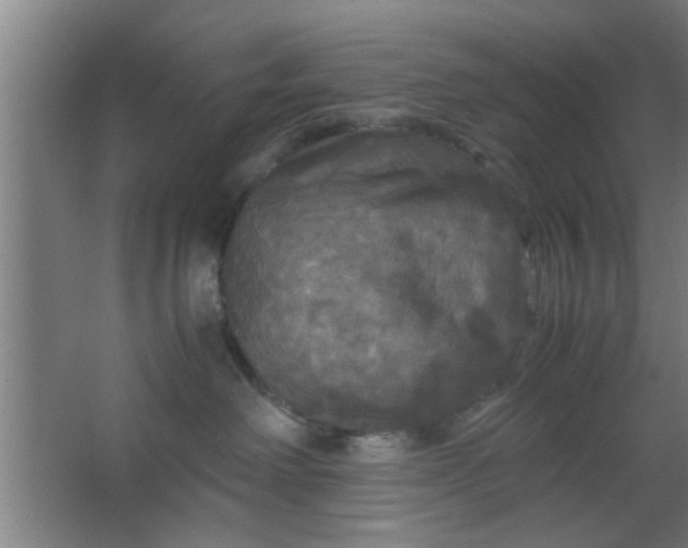 X0000063460238200602031842