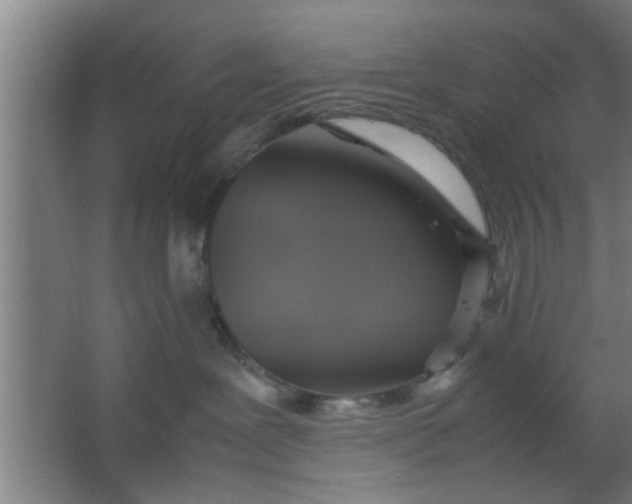 X0000063460239200602031842