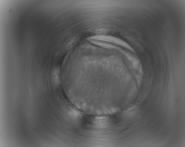 X0000063460240200602031842