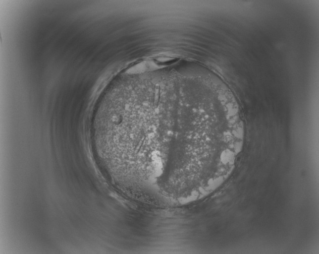 X0000063460241200602031841