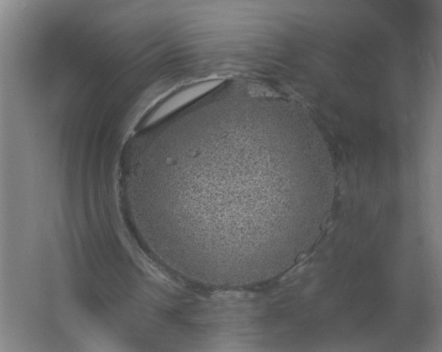 X0000063460242200602031841