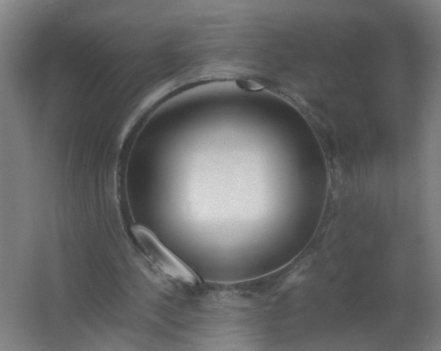 X0000063460244200602031841