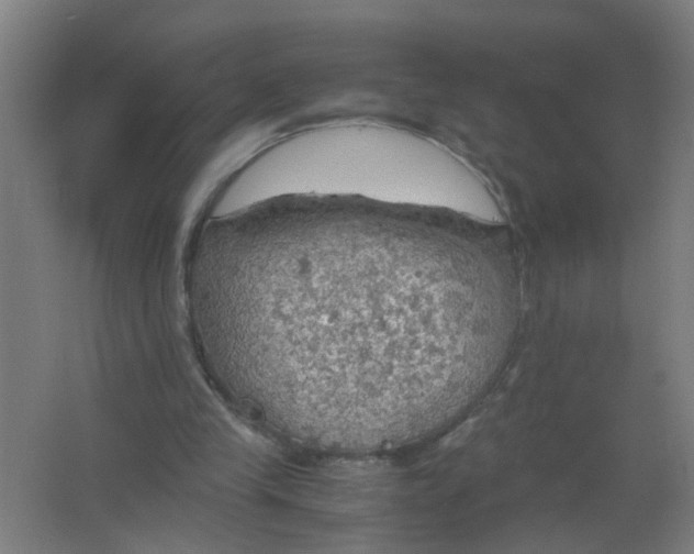 X0000063460245200602031841